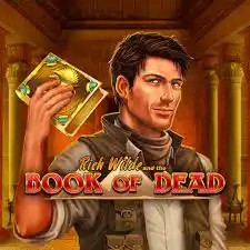 Try Book of Dead slot by Play&#039;n GO on 500casino.lt – logo image
